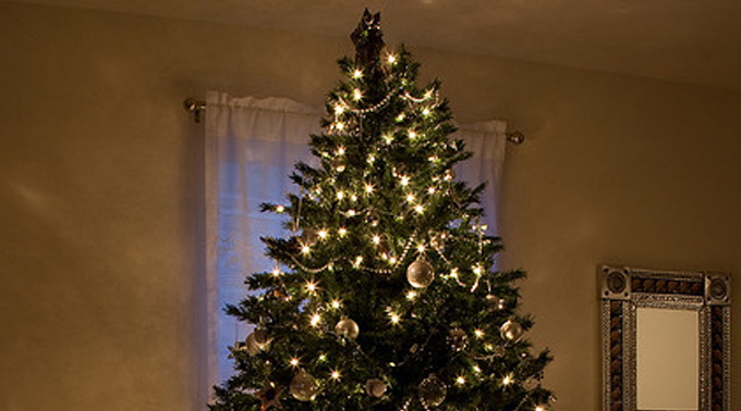 Qual é o dia certo para montar a árvore de Natal? - Cléofas